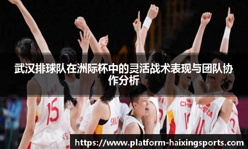 海星体育在线直播