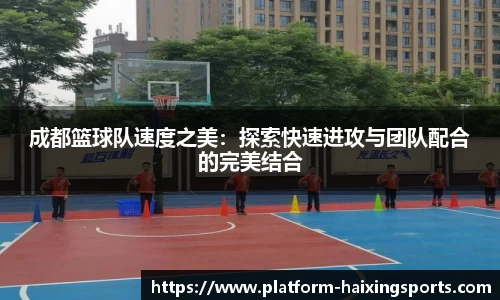 成都篮球队速度之美：探索快速进攻与团队配合的完美结合
